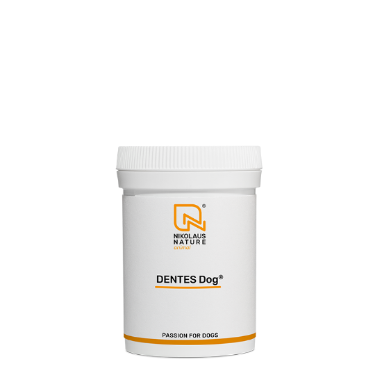 Picture of DENTES Dog® 40g Pulver